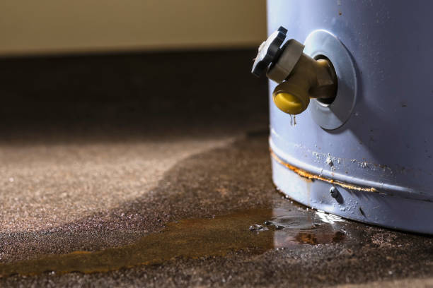 Best Flood damage cleanup  in Lake Los Angeles, CA