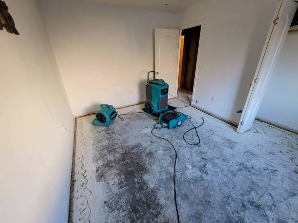 Best Water damage restoration insurance claims  in Lake Los Angeles, CA