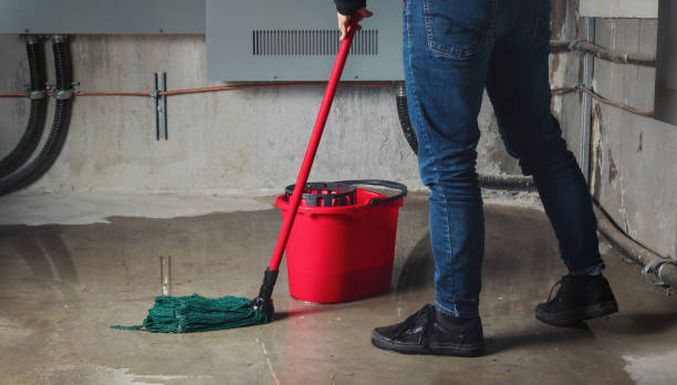 Best Water damage restoration services  in Lake Los Angeles, CA