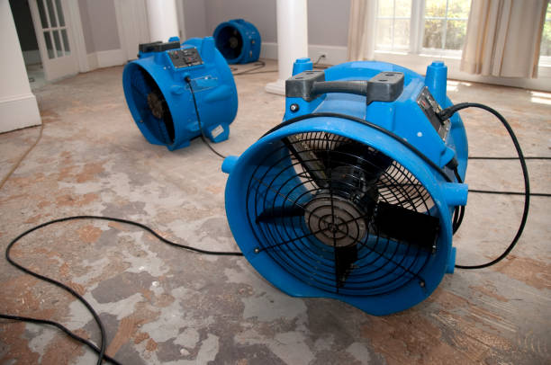 Best Carpet water damage restoration  in Lake Los Angeles, CA