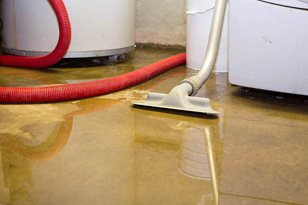 Best 24-hour water damage restoration  in Lake Los Angeles, CA