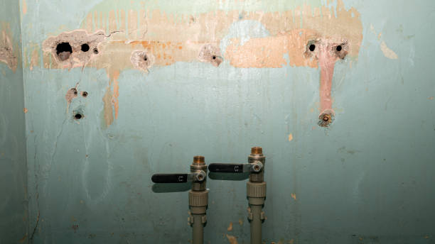 Best Sewage cleanup and water damage restoration  in Lake Los Angeles, CA