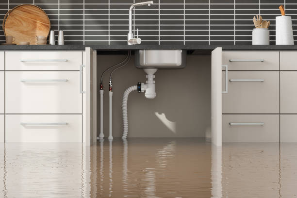 Best Local water damage restoration  in Lake Los Angeles, CA