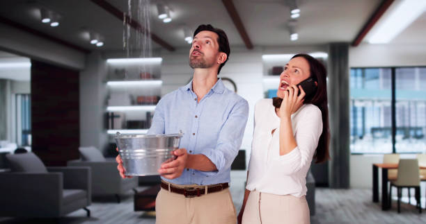 Best Commercial water damage restoration  in Lake Los Angeles, CA